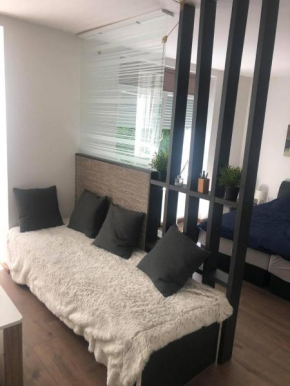 Apartment in the center of the old city, Budžak 14